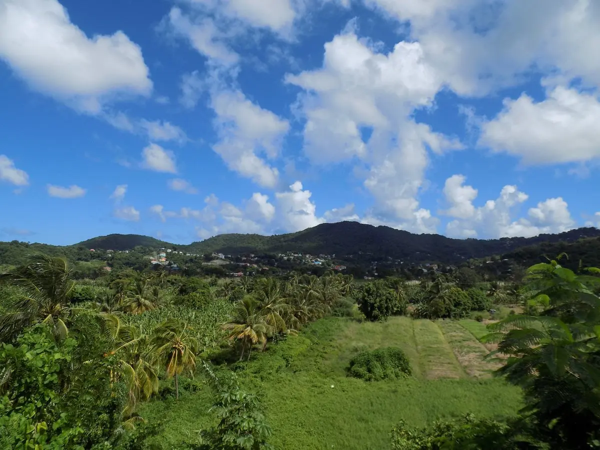 Marigot Bay in Saint Lucia