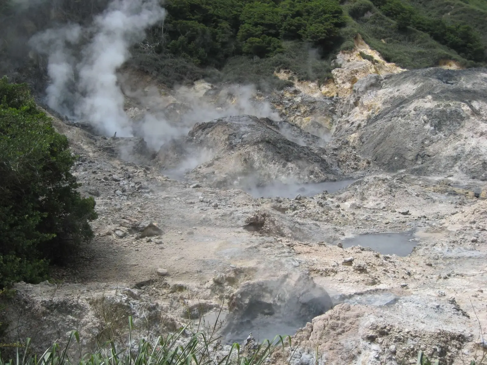 Sulphur Springs & Volcano Transportation